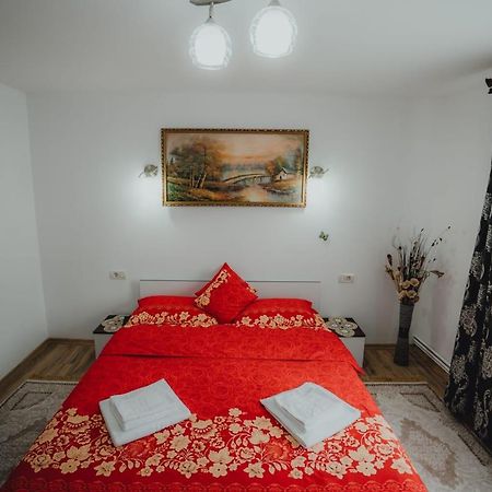 Casa Andreea Si Grigore Ursu Борша Екстер'єр фото