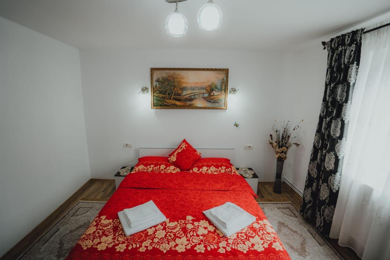 Casa Andreea Si Grigore Ursu Борша Екстер'єр фото