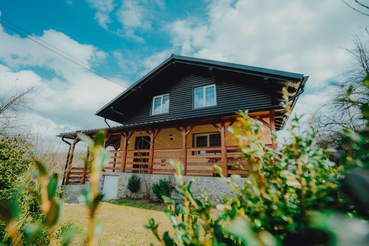 Casa Andreea Si Grigore Ursu Борша Екстер'єр фото