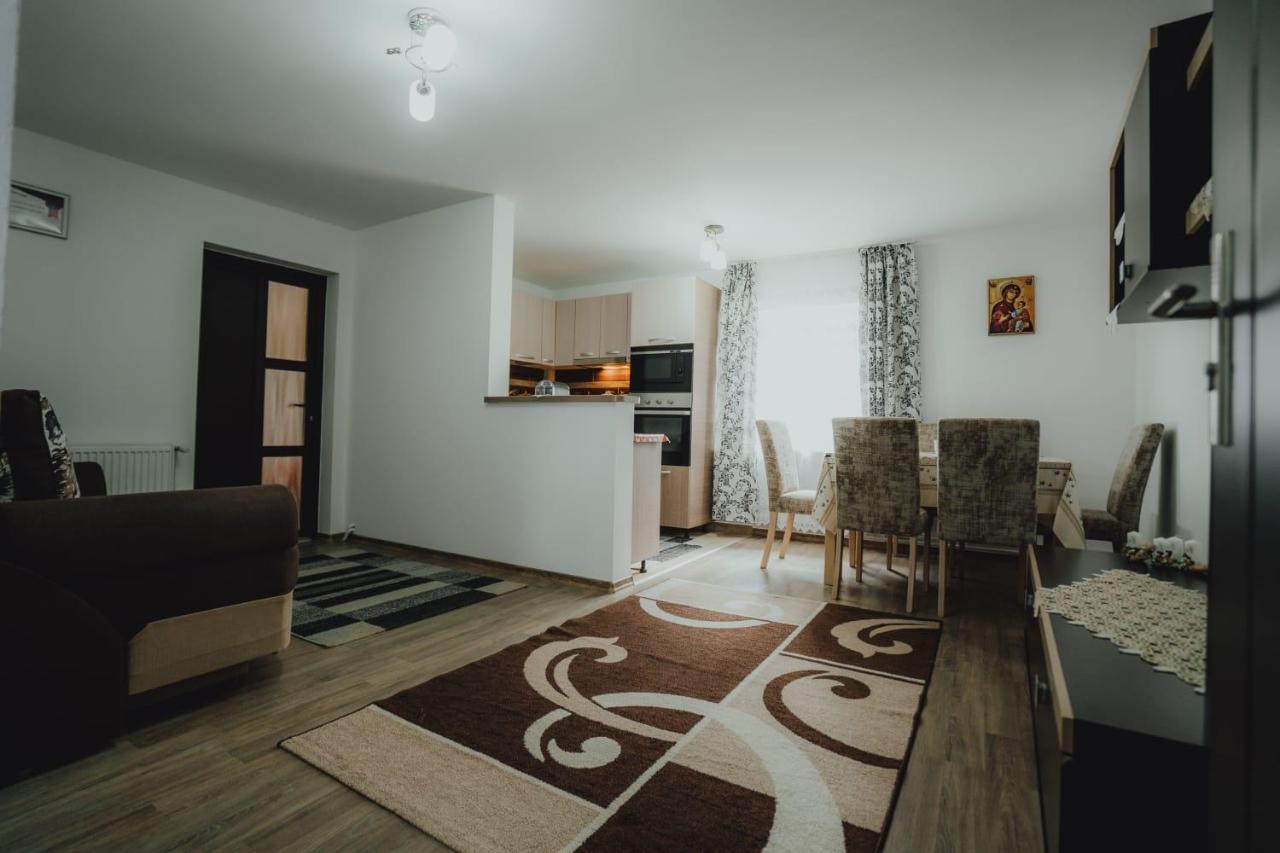 Casa Andreea Si Grigore Ursu Борша Екстер'єр фото