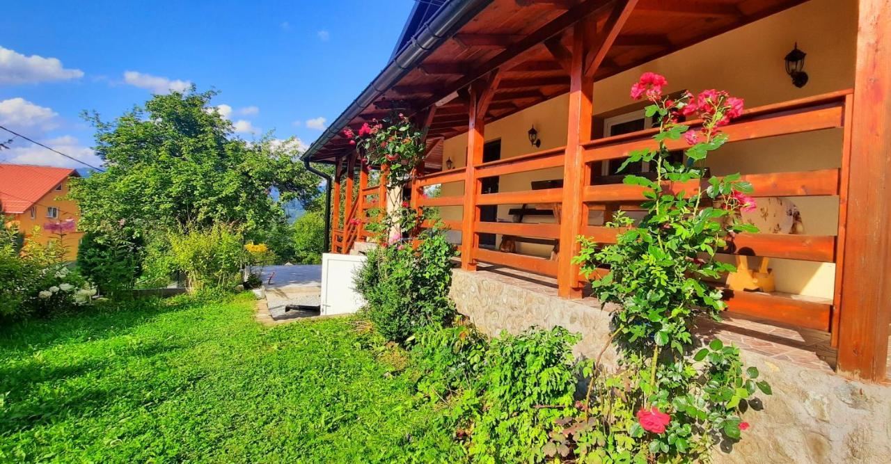 Casa Andreea Si Grigore Ursu Борша Екстер'єр фото