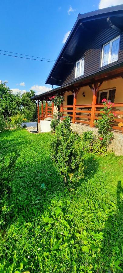 Casa Andreea Si Grigore Ursu Борша Екстер'єр фото