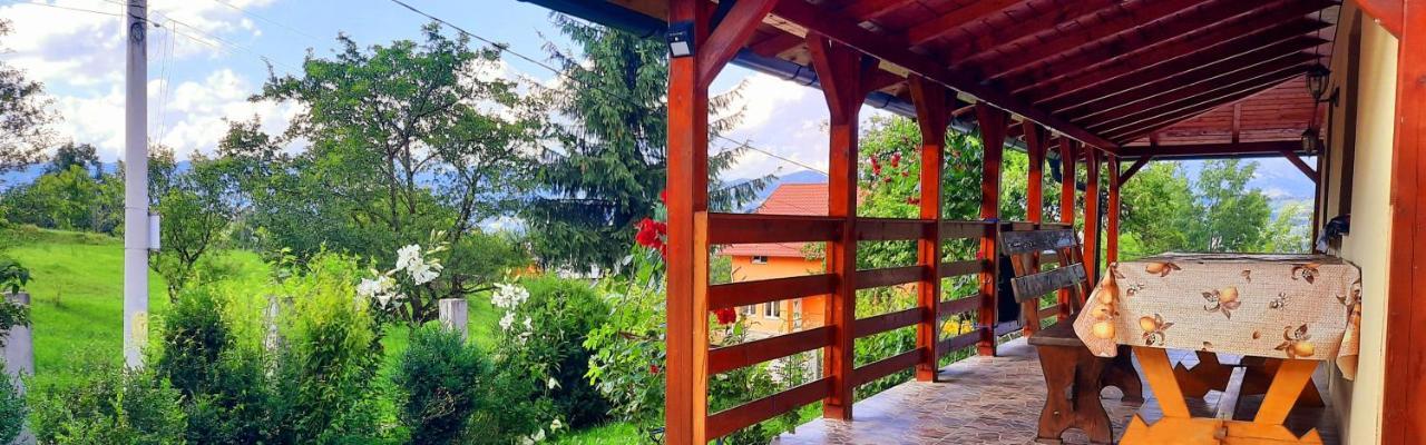 Casa Andreea Si Grigore Ursu Борша Екстер'єр фото