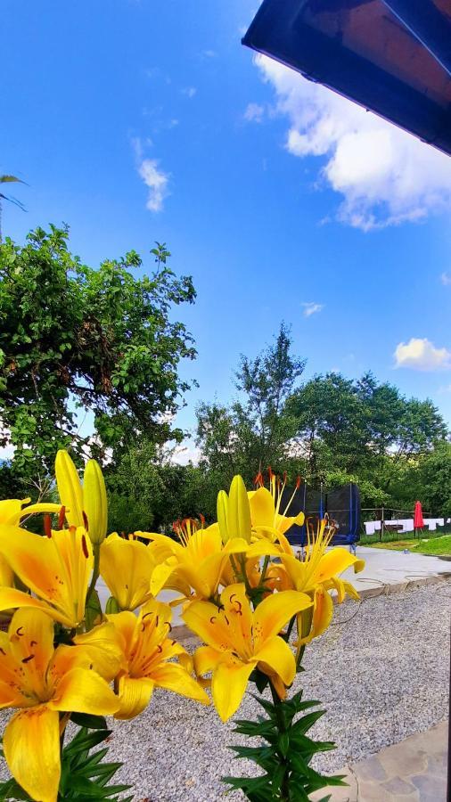 Casa Andreea Si Grigore Ursu Борша Екстер'єр фото